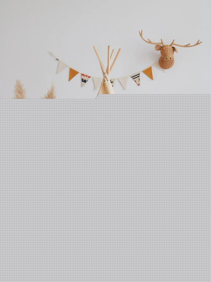 Teepee Tent - Native Vibe