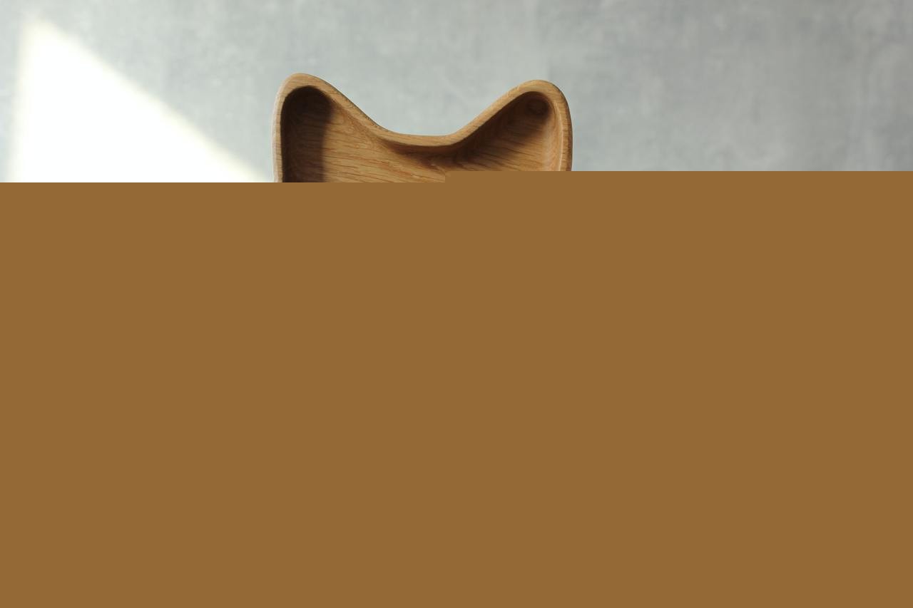 Wooden Plate For Kids - Fox With 3 Sectors